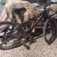 دوچرخه حرفه ای ویوا|دوچرخه، اسکیت، اسکوتر|گنبد کاووس, |دیوار