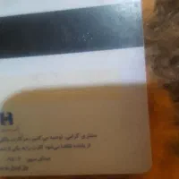 کارت ملی خانم شعاع وکارت بانکی باستانی کم شده