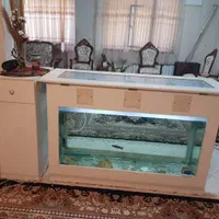 آکواریوم