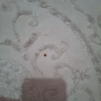 فرش 6متری و1×۱/۵ قالیچه