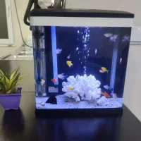 آکواریوم شیشه خم مدل دلسا 320