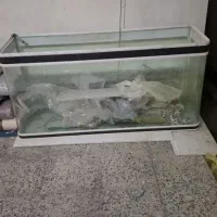 اکواریوم سالم