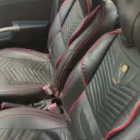 ساینا s درحد خشک