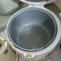 پلوپز سانی