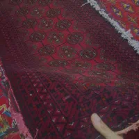 دست بافت قالیچه فرش|فرش|مشهد, شهرک امام هادی (شهرک غرب)|دیوار