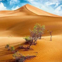 تور یک روزه جنگل و کویر خوزستان