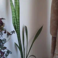 گلدان گل سانسوری