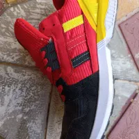 کتونی آدیداس نو|کیف، کفش، کمربند|گرمی, |دیوار