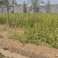 باغچه-300-متری-همراه-با-آب-معاوضه-با-خودرو