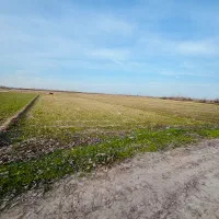 2200متر-زمین-شالی