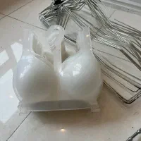 رگال،چوبکار،آویز لباس،مانکن فلزی،چوب لباسی|فروشگاه و مغازه|لاهیجان, شیشه گران|دیوار