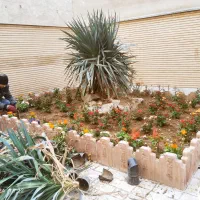 خدمات باغبانی صفر تا صد|خدمات باغبانی و درختکاری|کرج, فاز ۴ مهرشهر|دیوار