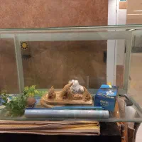 آکواریوم و پمپ و لوازم تزئینی