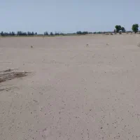 اجاره زمین کشاورزی