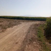 علوفه|حیوانات مزرعه|فرح دشت, |دیوار