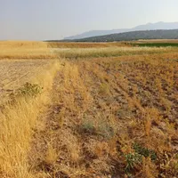 زمین کشاورزی اتوبان اصلی|کلکسیون سکه، تمبر، اسکناس|خرم‌آباد, |دیوار
