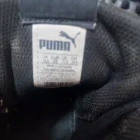 پوما اورجینال|کیف، کفش، کمربند|اراک, |دیوار