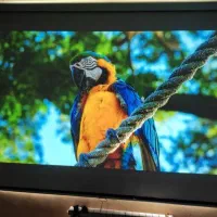 ویدیو پروژکتور|تلویزیون و پروژکتور|تبریز, |دیوار