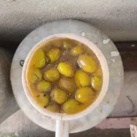 رب انار.آب انار ۱۰۰٪طبیعی.زیتون رودبار .روغن زیتون|خوردنی و آشامیدنی|رودبار, |دیوار