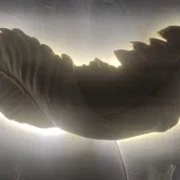 تابلو پر یک متری|تابلو، نقاشی، عکس|دهلران, |دیوار