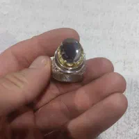 شجردستساززیباکلوکسیونی