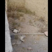 زمین دور دیوار