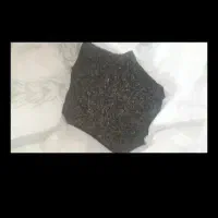 دانه گیاهی|خدمات باغبانی و درختکاری|بیستون, |دیوار