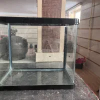 یک عدد آکواریوم شیشه خم