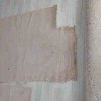 موکت پالاز ظریف مصور|موکت|بیرجند, |دیوار