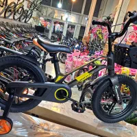 دوچرخه۱۶ اورجینال وارداتی بهترین منیزیم درایران|دوچرخه، اسکیت، اسکوتر|کرج, شهرک نهال و بذر|دیوار