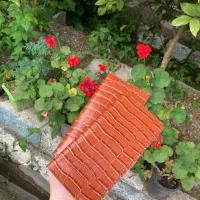 کیف پول چرم زنانه|کیف، کفش، کمربند|آستانه اشرفیه, |دیوار