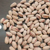 خریدار انواع پسته از صد کیلو تا بار تناژ