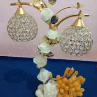 شاخه نبات