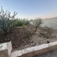 ۵۸۶ متر باغچه/سندتکبرگ/کردزار/کردامیر|فروش خانه و ویلا|شهریار, کرد امیر|دیوار