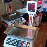 ترازو فروشگاهی صدر مدل ساده بدون پرینتر ویستا