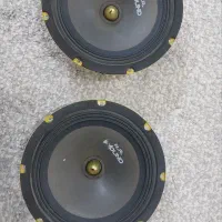 میدرنج دهنه ۸