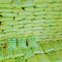 برنج عنبربو حاصل زراعت شوشتر وشعبیه