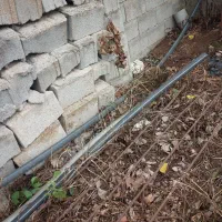 شلنگ آبیاری باغی برند درجه یک شلنگ خرطومی