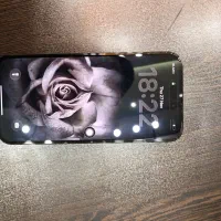 موبایل|موبایل|کبودرآهنگ, |دیوار