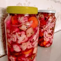 ترشیه خونگی باطعنی بهشتی وملایم