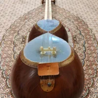 تار حرفه ای