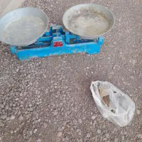 تراز کاسبی|فروشگاه و مغازه|قزوین, |دیوار