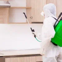 سمپاشی تضمینی٪ ساس سوسک موریانه کنه موش سم پاشی|خدمات نظافت|مشهد, طلاب|دیوار