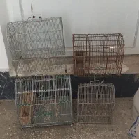 قفس سهره