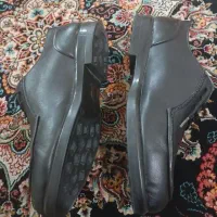 کفش|کیف، کفش، کمربند|هرسین, |دیوار