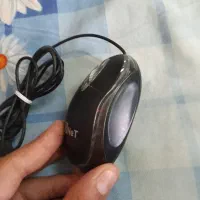 موس کامپیوتر|قطعات و لوازم جانبی رایانه|آمل, |دیوار