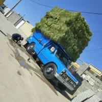 انواع خوراک دام تفاله چقندر یونجه بیده خشک و...|لوازم جانبی حیوانات|سیرجان, |دیوار