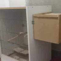 قفس پرنده دست ساز