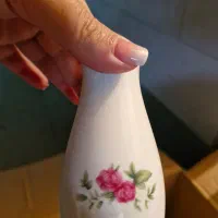 سرویس چینی گل سرخی|ظروف سرو و پذیرایی|کرج, شهرک فهمیده|دیوار