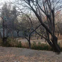 باغ|فروش خانه و ویلا|محمدشهر, عباس آباد|دیوار